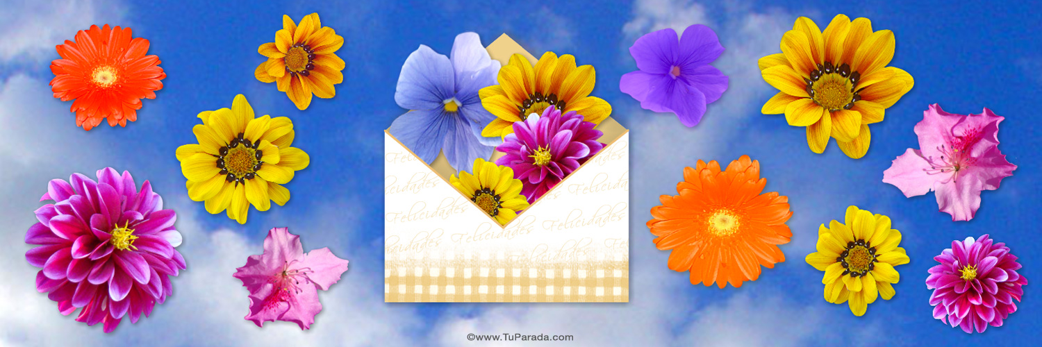 Imagen de cielo y flores para portada de Twitter, fondo de pantalla, foto  de flores grandes, imágenes de portada - Tu Parada