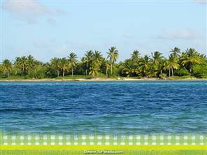 Foto de isla con palmeras