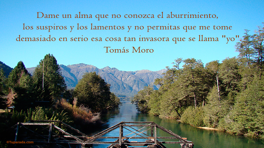 Frases de Tomás Moro