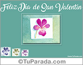 Una flor para San Valentín.