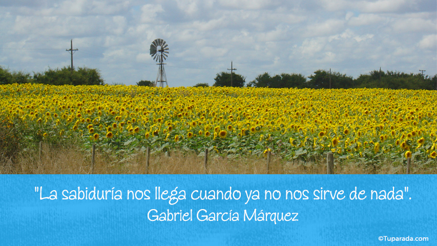 Cuando llega la sabiduría... - Frase de Gabriel García Márquez