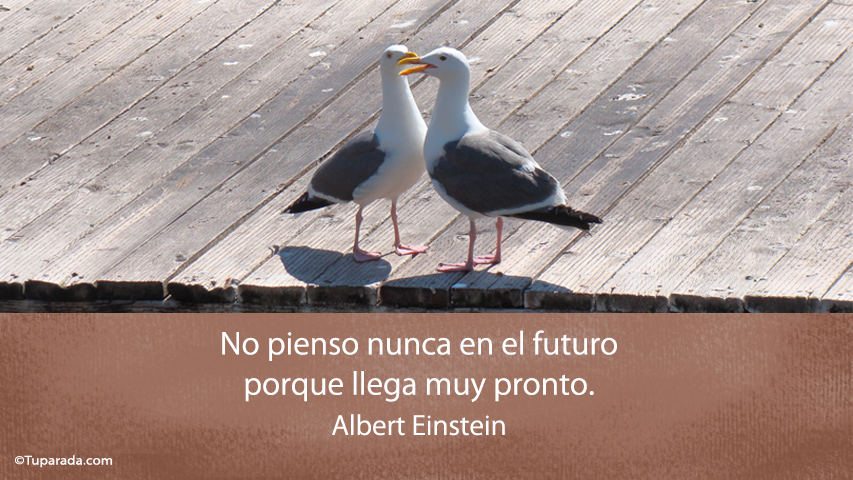 El futuro - Frase de Albert Einstein