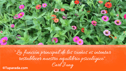 Tarjeta de Carl Jung