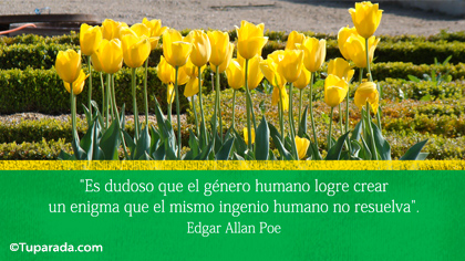 Tarjeta de Edgar Allan Poe
