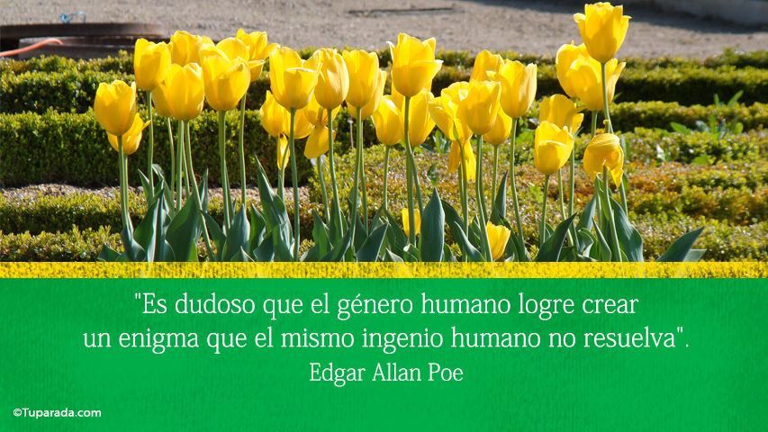 El ingenio humano - Frase de Edgar Allan Poe