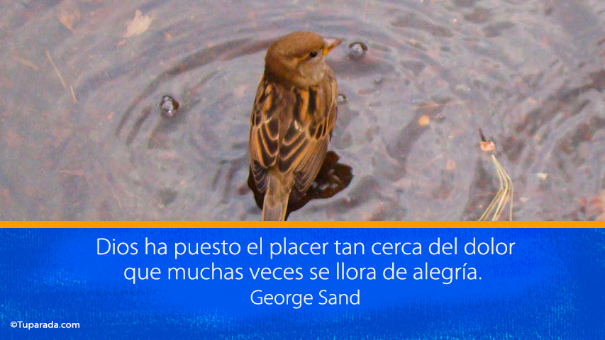 Llorar de alegría - Frase de George Sand
