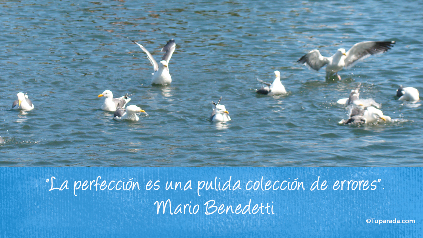 La perfección - Frase de Mario Benedetti