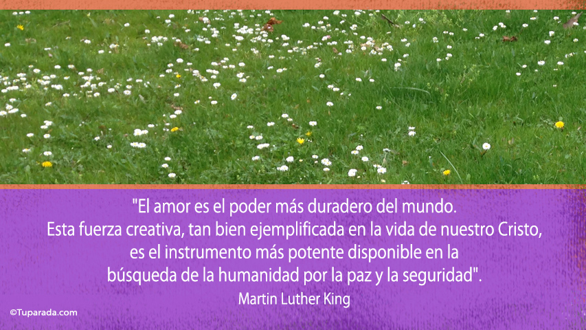 Por la paz y la seguridad - Frase de Martin Luther King