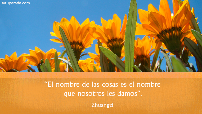 El nombre de las cosas - Frase de Zhuangzi