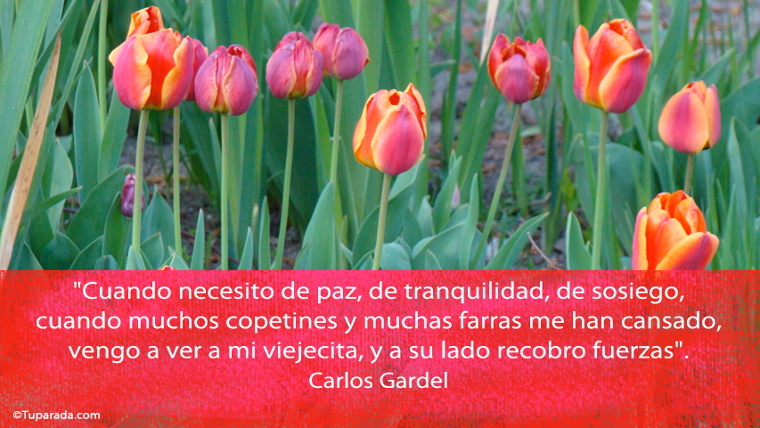 Cuando necesito de paz - Frase de Carlos Gardel