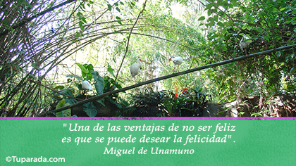 Tarjeta de Miguel de Unamuno