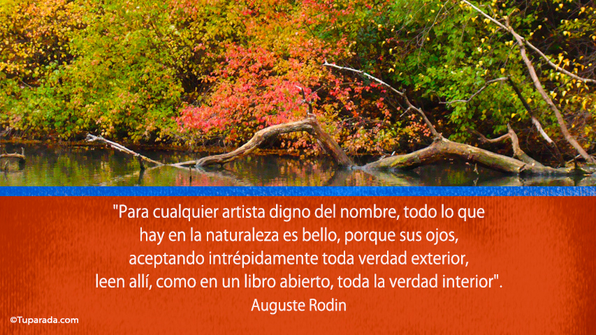 Todo lo que hay en la naturaleza - Frase de Auguste Rodin