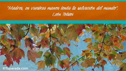 Tarjeta de Leon Tolstoi