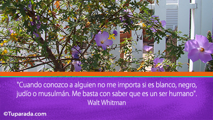 Tarjeta de Walt Whitman