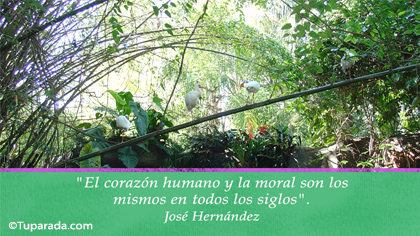 Tarjeta de José Hernández