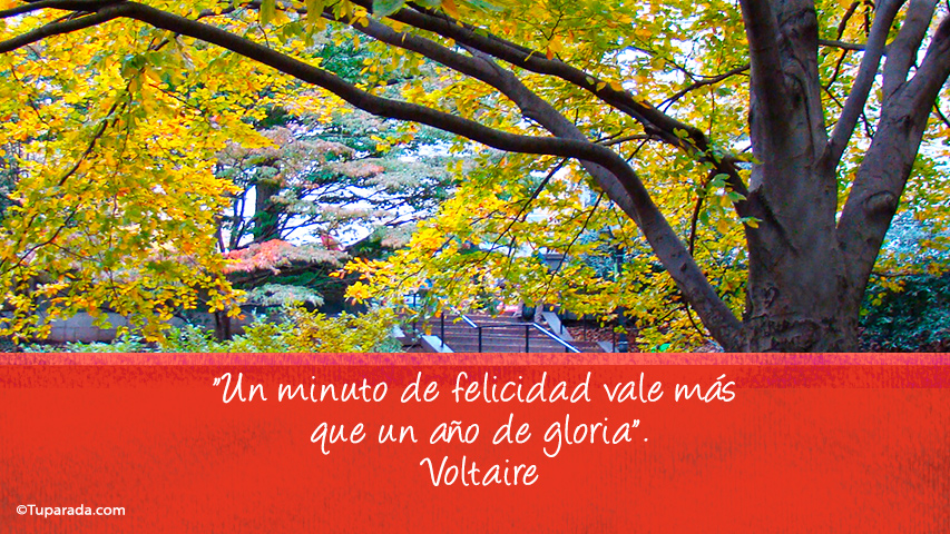 Un minuto de felicidad - Frase de Voltaire
