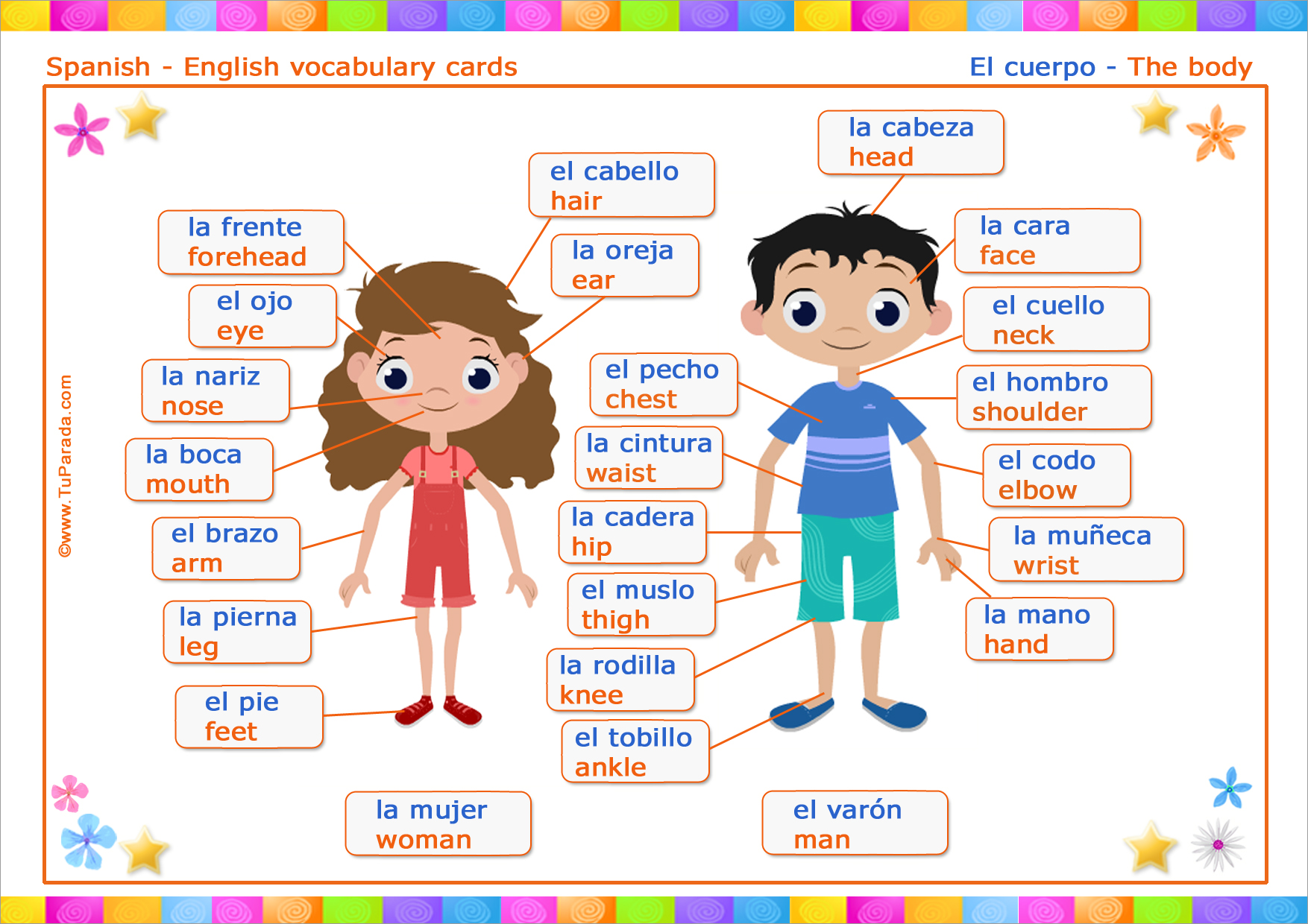 Vocabulario Cuerpo Body tarjetas de Vocabulario Español Inglés