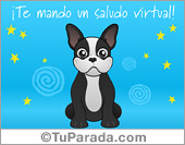 Saludos con Mini Bulldog