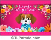 Tarjeta: Lo mejor está por venir