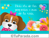 Disfruta de las pequeñas cosas