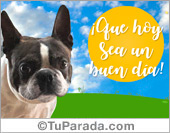 Tarjeta de saludos con perrito