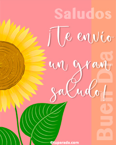 Tarjeta de saludos con flor grande