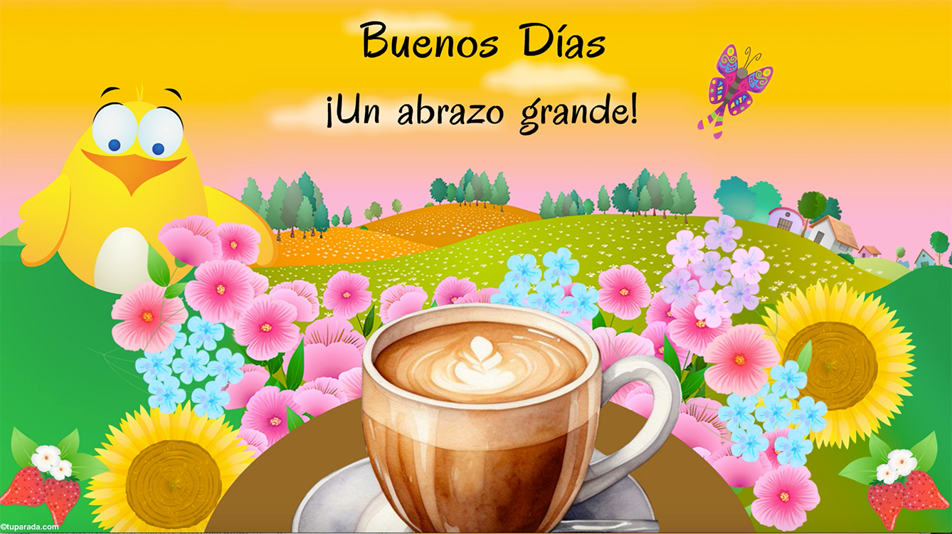 Buenos días y frases para ti