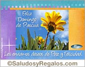 Deseos de Paz y Felicidad