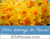 Tarjeta de Pascua con flores amarillas