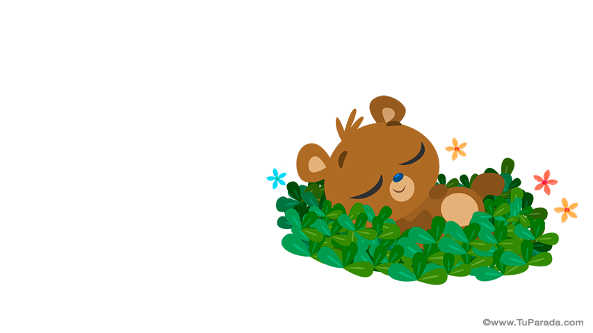 Crear tarjeta de Nacimiento