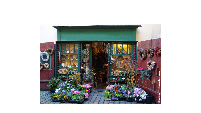 Crear tarjeta de Flores