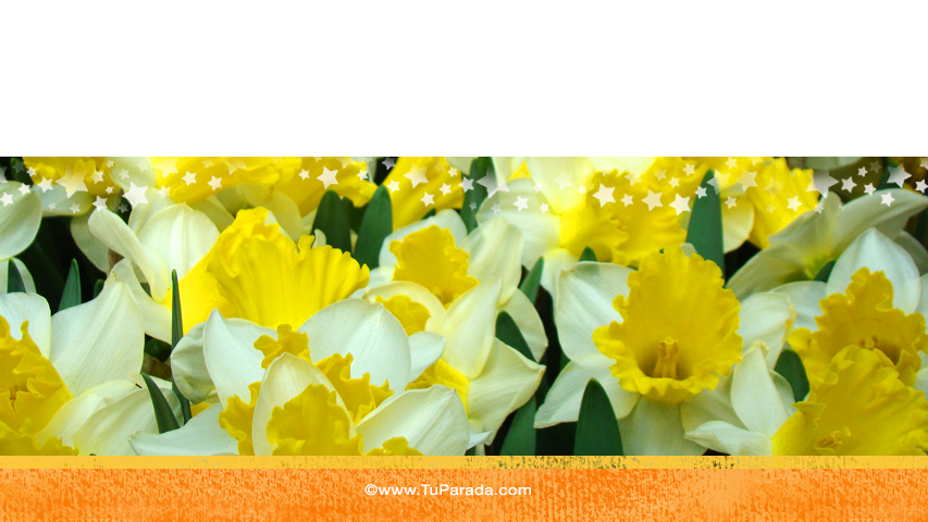 Crear tarjeta de Flores