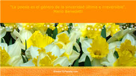 La poesía