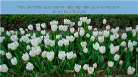 Jorge Luis Borges