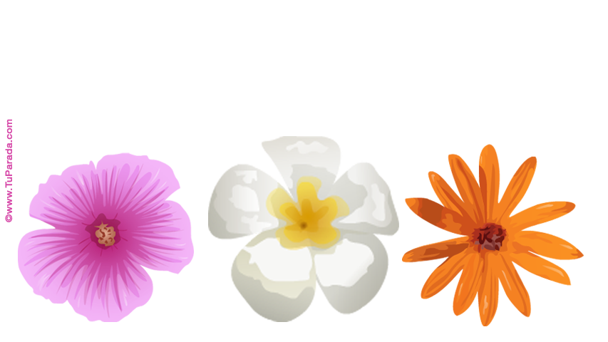 Crear tarjeta de San Valentín