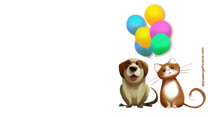 Create Birthday ecard