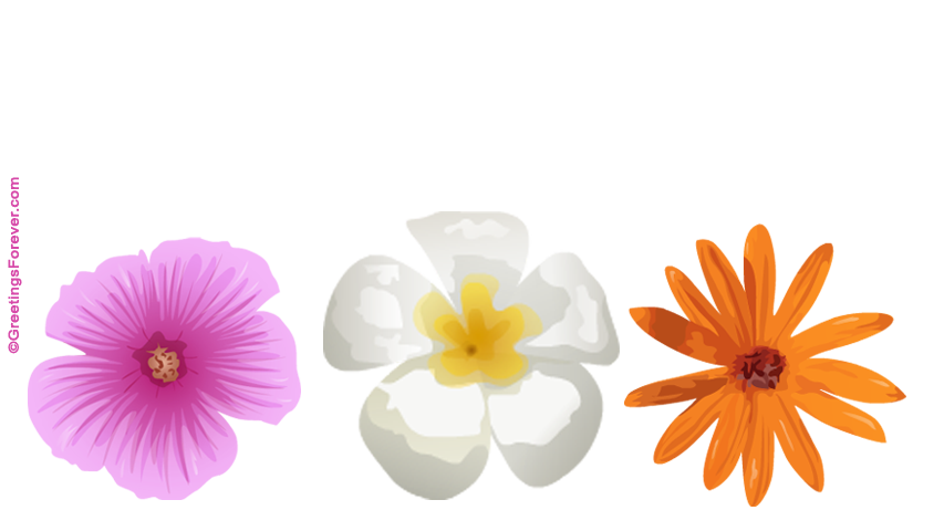 Create Friendship ecard