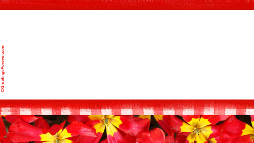 Create Flowers ecard