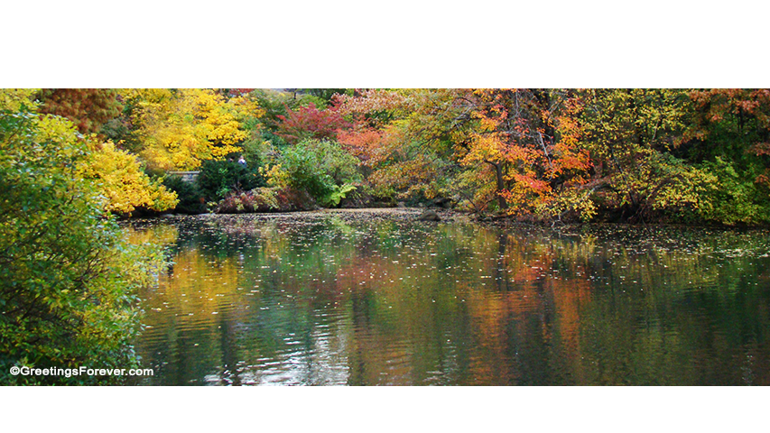 Create Landscapes ecard