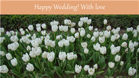 Wedding ecard