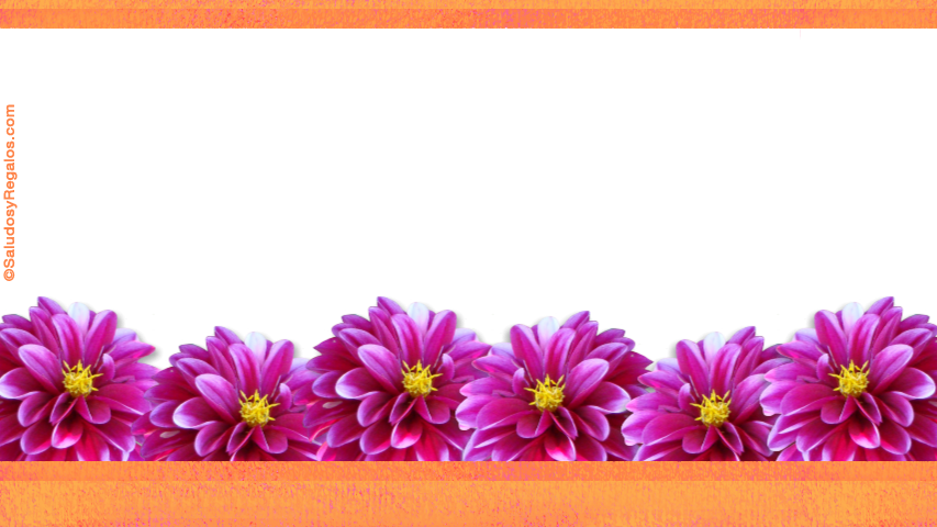 Crear postales de Agradecimiento