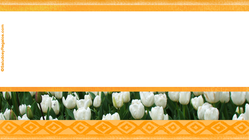 Crear postales de Saludos