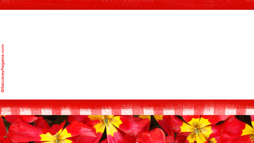 Crear postales de Saludos