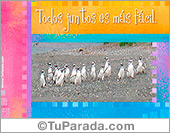 Todos juntos con pingüinos