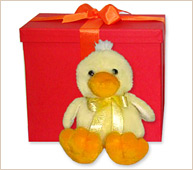 Pata de peluche grande