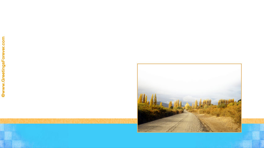 Create Thanksgiving ecard