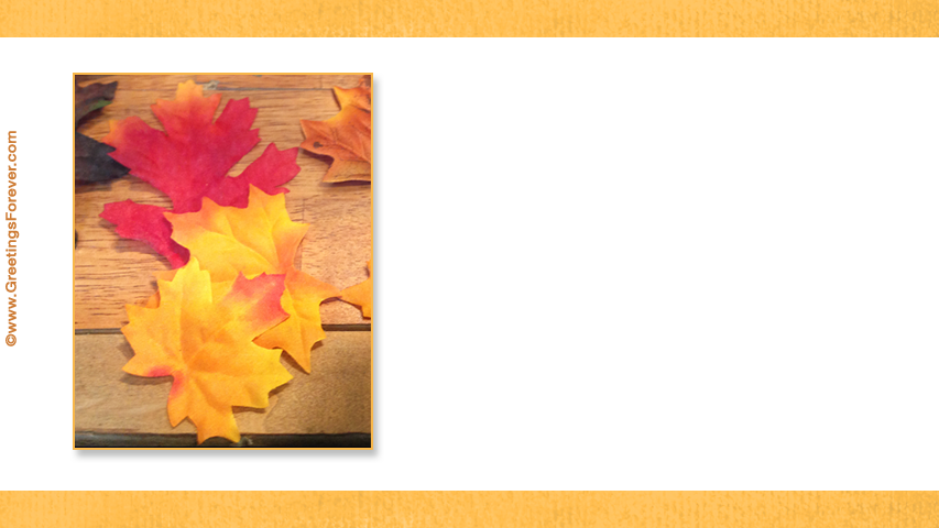 Create Thanksgiving ecard