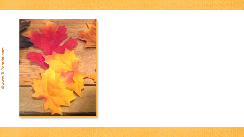 Crear tarjeta de Acción de Gracias