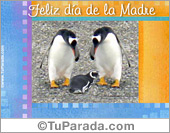 Feliz día de la madre con pingüinos