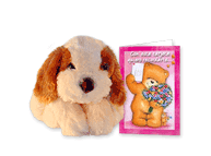 Set de perro mediano y tarjeta.
